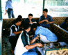 thm_mb-lido18.gif